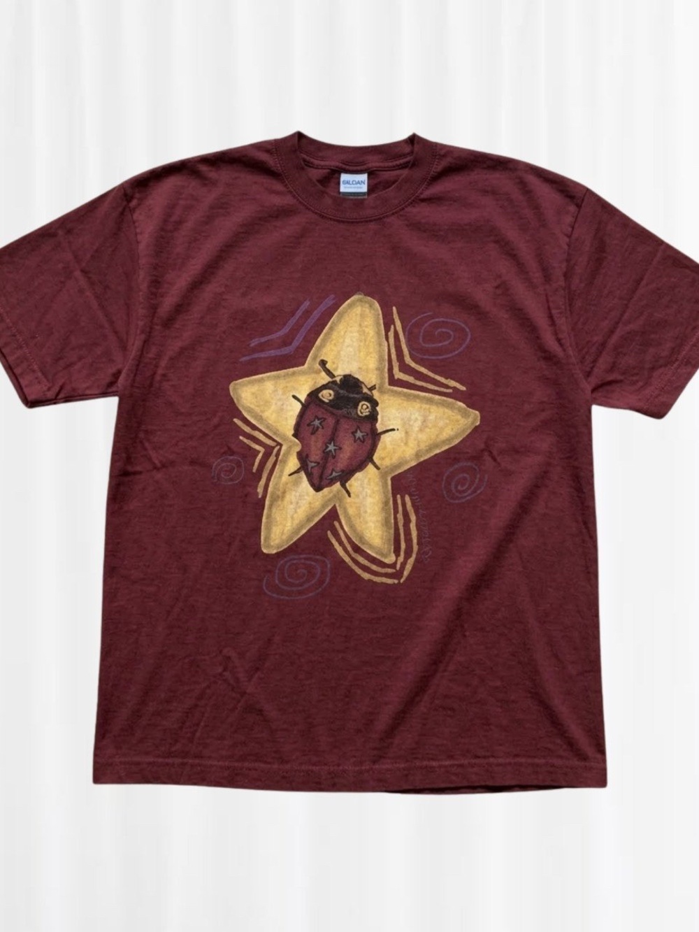 Gildan Maroon Tee with indie fairy grunge ladybug star